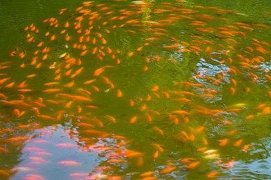 锈湖开发商宣布  双人解密新作《The Past Within》延期