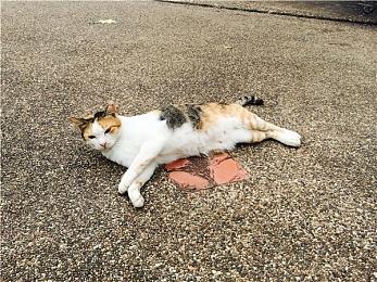 高能电玩节：《巴别号漫游指南》新预告公布